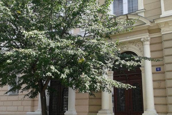 Jana Masaryka, Praha - Vinohrady