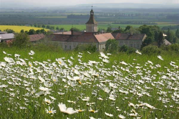 Přestavlky, Přestavlky - Přestavlky u Přerova, Olomoucký kraj