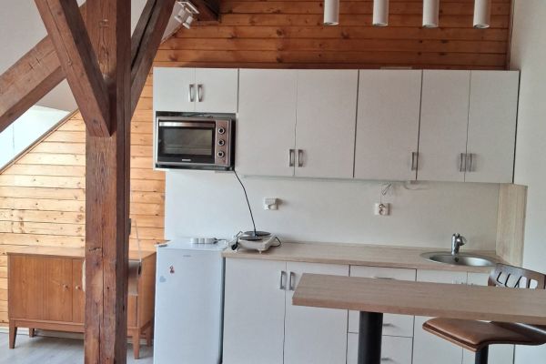 Pronájem bytu 2+kk 37 m² - Pod Karlovarskou Silnicí, Praha - Ruzyně