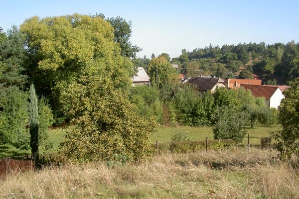 Obecní, Březí - Březí u Říčan, Středočeský kraj