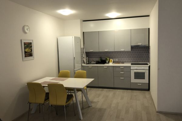 Pronájem bytu 2+kk 55 m² - U Mlýnského kanálu, Praha - Karlín