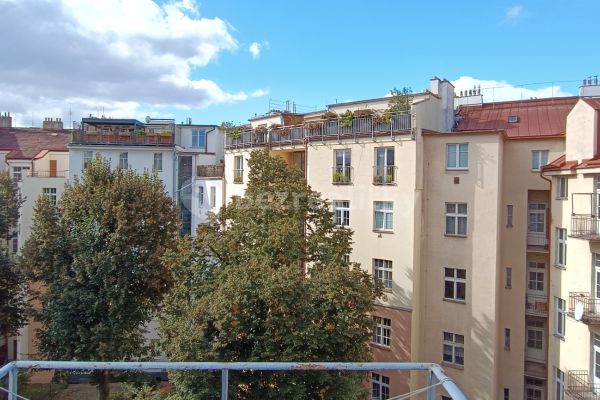 Fibichova, Praha - Žižkov