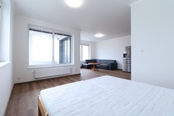 Wohnung 1+kk zur Miete, 53 m² (2 von 9)