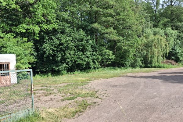 Комерційне приміщення в оренду, 640 м² (3 з 6)