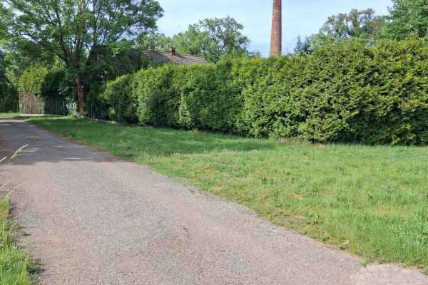 Комерційне приміщення в оренду, 640 м² (2 з 6)