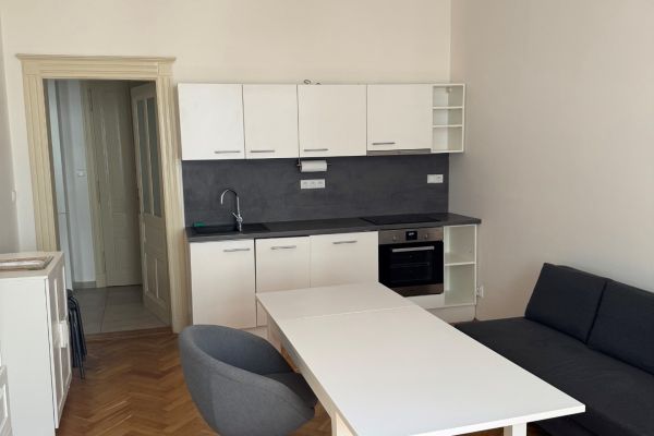Wohnung 2+kk zur Miete, 49 m² (2 von 9)