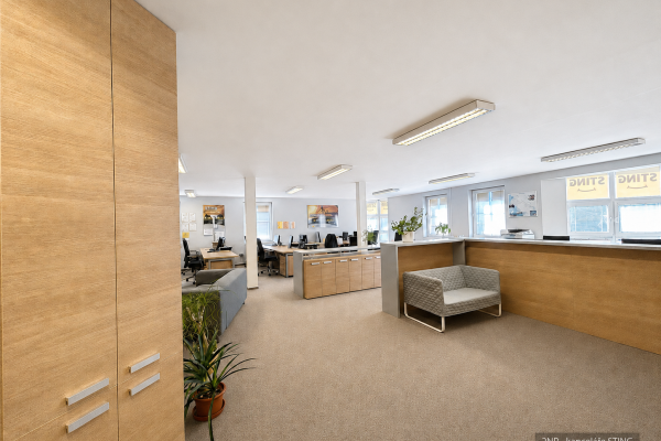 Gewerbefläche zum Kauf, 508 m² (3 von 20)