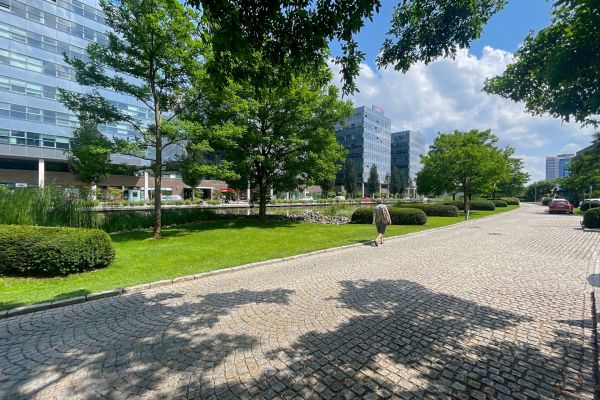 Комерційне приміщення в оренду, 50 м² (3 з 10)