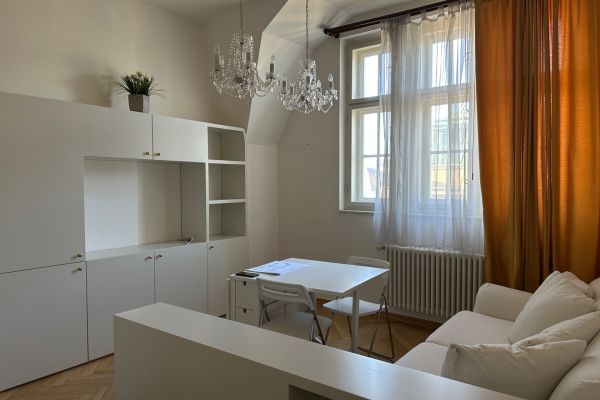 Pronájem bytu 1+kk, 31 m² (3 z 16)