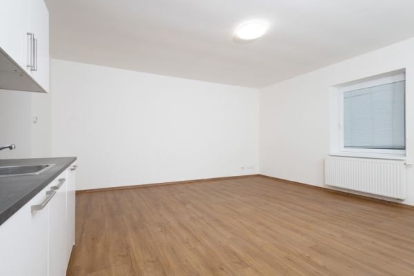 Prodej bytu 2+kk, 55 m² (3 z 14)
