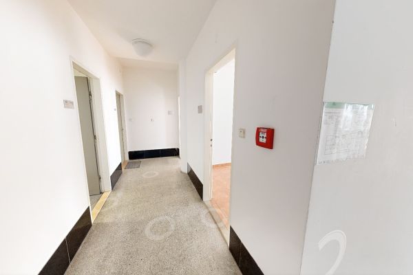 Gewerbefläche zur Miete, 50 m² (2 von 11)