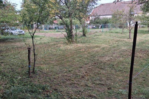 Grundstück zur Miete, 300 m² (2 von 5)