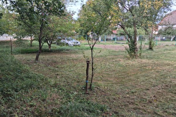 Grundstück zur Miete, 300 m² (3 von 5)