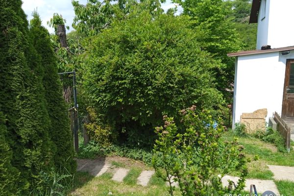 Haus zum Kauf, 52 m² (3 von 13)