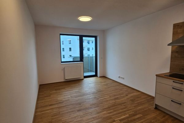 Pronájem bytu 2+kk, 50 m² (2 z 13)