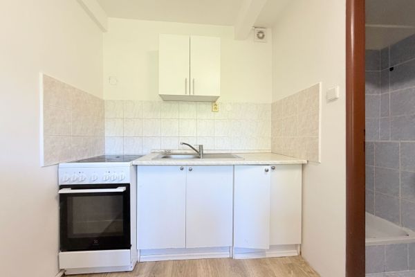 Pronájem bytu 2+1, 50 m² (3 z 9)