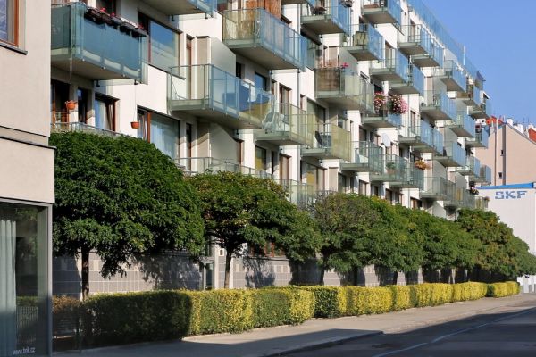 Pronájem nemovitosti, 12 m² (3 z 3)