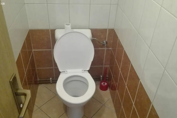Gewerbefläche zur Miete, 25 m² (2 von 5)