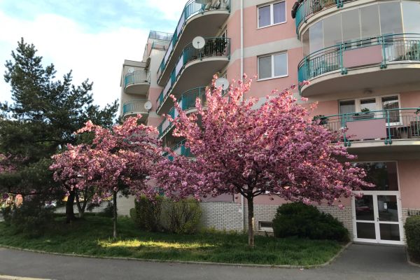 Нерухомість в оренду, 15 м² (3 з 3)