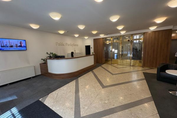 Gewerbefläche zur Miete, 25 m² (2 von 10)