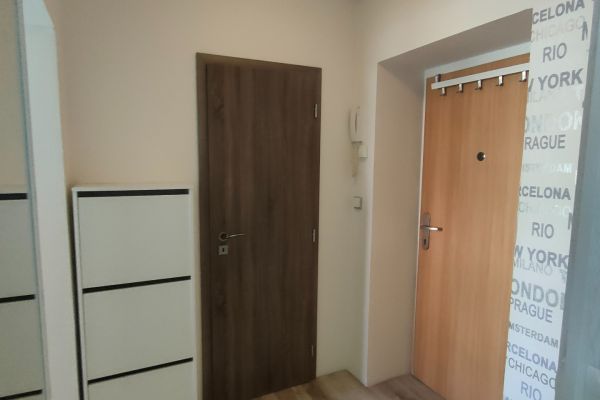 Wohnung 1+1 zur Miete, 30 m² (2 von 11)