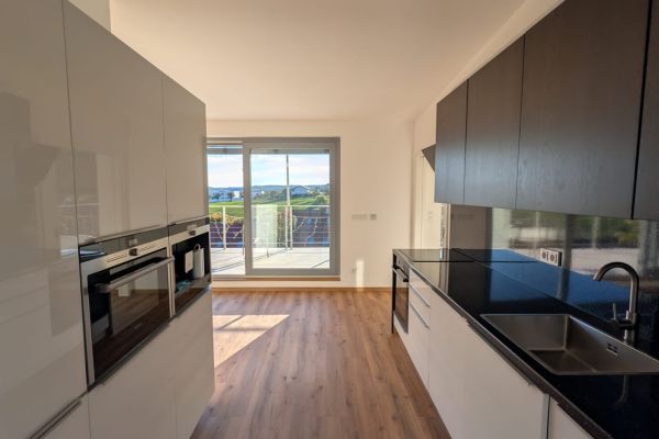 The 4+kk flat for rent, 90 m² (3 of 20)