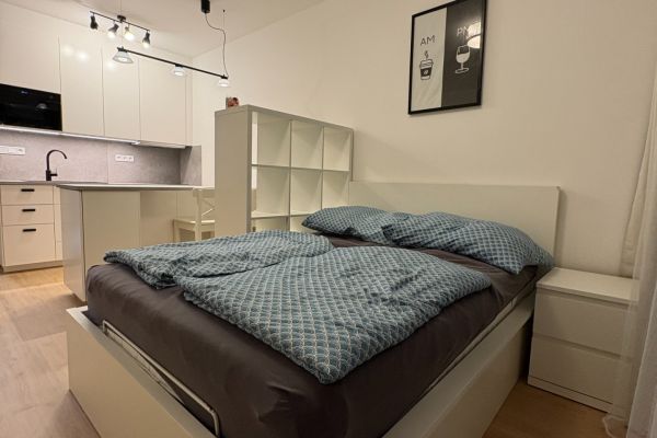 Pronájem bytu 1+kk, 31 m² (3 z 10)