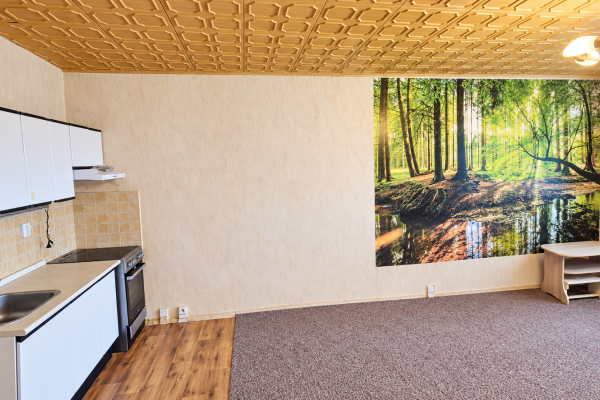Wohnung 1+kk zum Kauf, 34 m² (3 von 8)