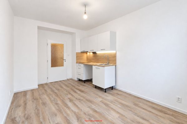 Wohnung 1+kk zur Miete, 18 m² (2 von 8)