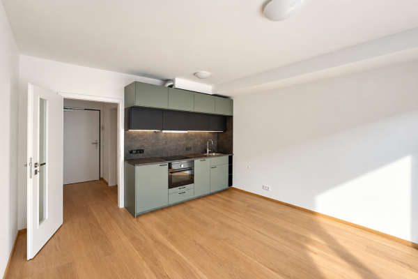 Wohnung 1+kk zur Miete, 44 m² (2 von 20)