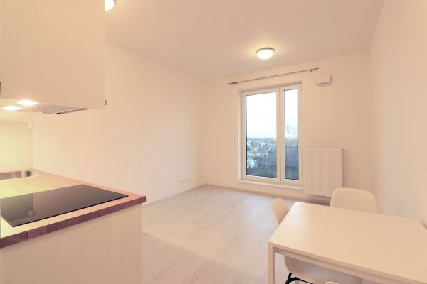 Wohnung 1+kk zur Miete, 25 m² (2 von 18)