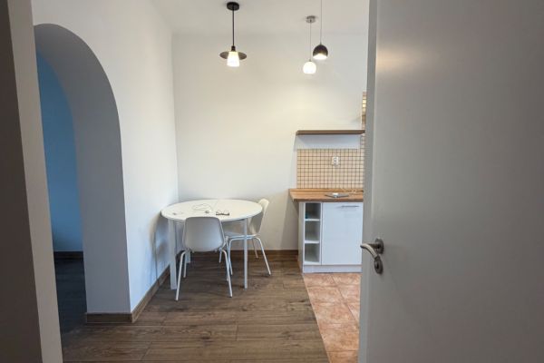 Pronájem bytu 1+1, 30 m² (3 z 7)
