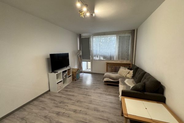 Wohnung 3+kk zur Miete, 60 m² (2 von 12)