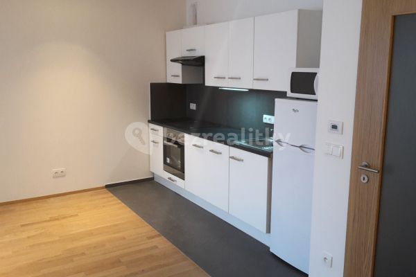 The 1+kk flat for rent, 32 m² (2 of 13)