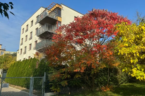 Pronájem nemovitosti, 18 m² (3 z 3)