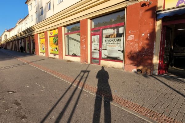 Pronájem komerčního prostoru, 79 m² (3 z 6)