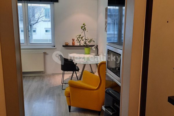 Квартира 1+kk в оренду, 30 м² (3 з 10)
