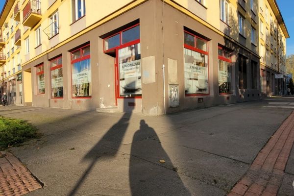 Pronájem komerčního prostoru, 207 m² (2 z 10)