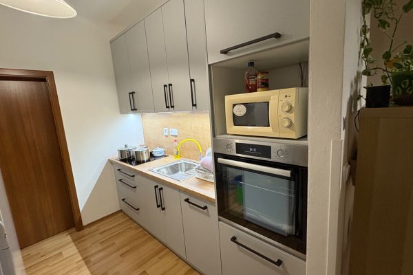 Wohnung 2+kk zur Miete, 40 m² (2 von 10)