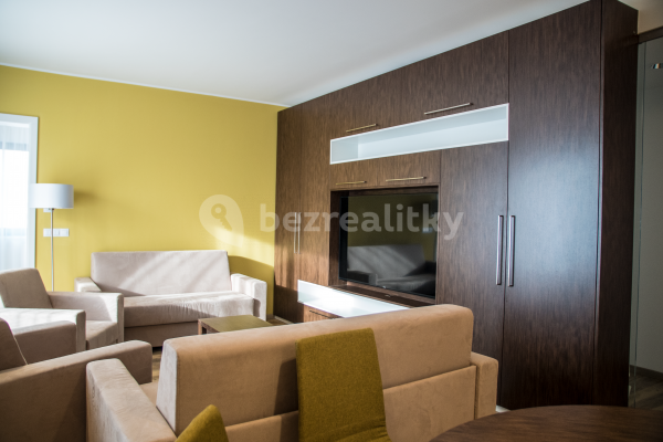 Wohnung 4+kk zur Miete, 109 m² (3 von 12)