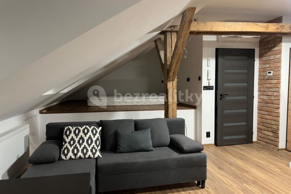 Pronájem bytu garsoniera, 40 m² (2 z 14)