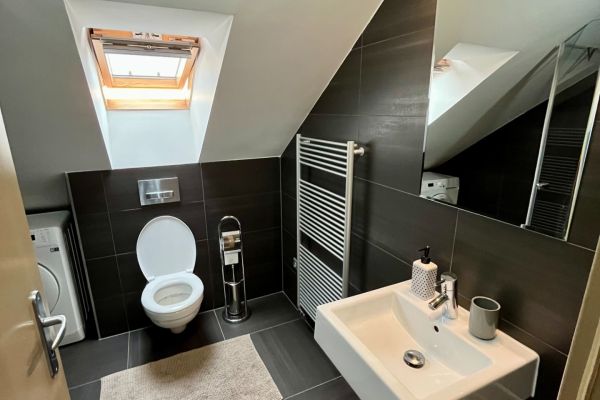 Pronájem bytu 1+kk, 37 m² (3 z 12)