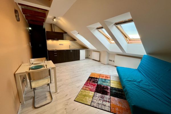 Pronájem bytu 1+kk, 37 m² (2 z 12)