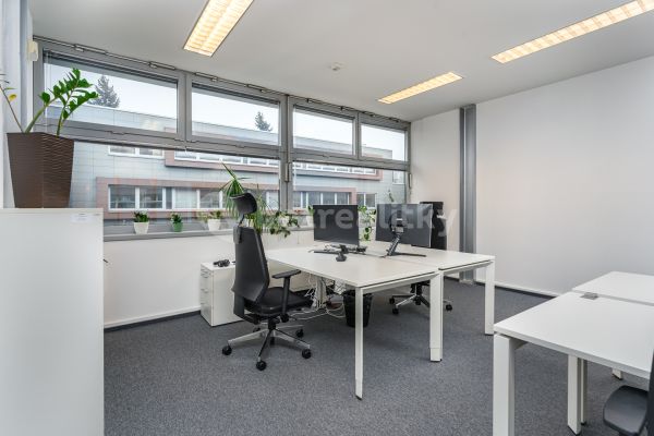 Комерційне приміщення в оренду, 450 м² (3 з 11)