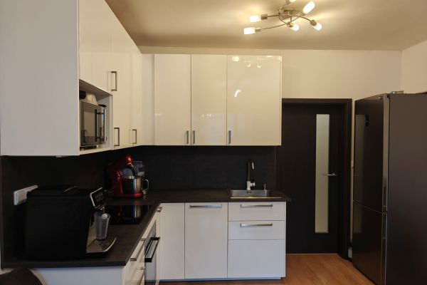 Pronájem bytu 1+kk, 45 m² (2 z 7)