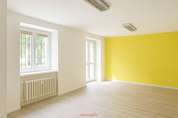 Pronájem komerčního prostoru, 60 m² (3 z 9)
