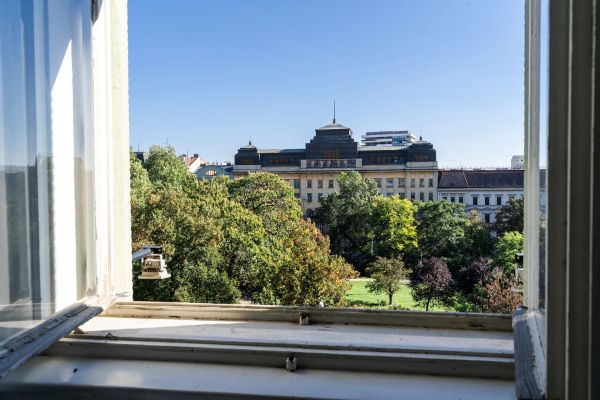 Pronájem komerčního prostoru, 50 m² (3 z 9)
