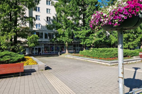 Gewerbefläche zur Miete, 66 m² (3 von 13)